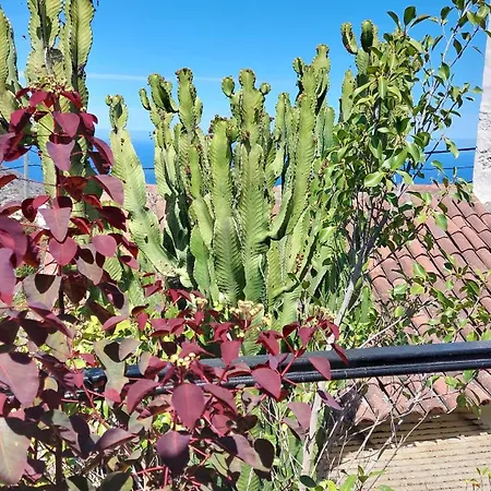 Apartamento Aptos Monasterio De San Antonio 4 *