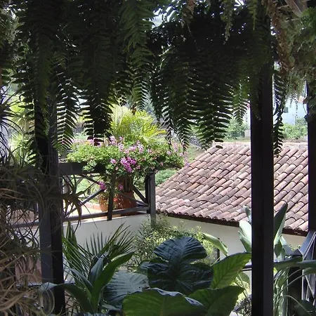 Aptos Monasterio De San Antonio 4 Apartment Icod De Los Vinos