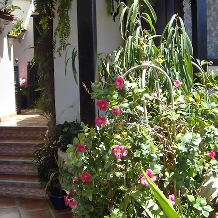 Apartament Aptos Monasterio De San Antonio 4 *