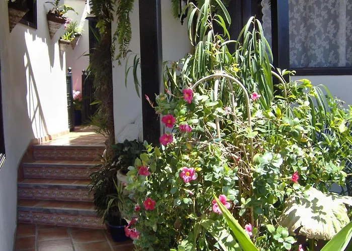 Appartement Aptos Monasterio De San Antonio 4 *