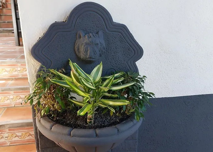 Aptos Monasterio De San Antonio 4 *