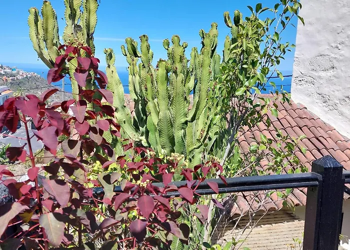 Apartman Aptos Monasterio De San Antonio 4 *