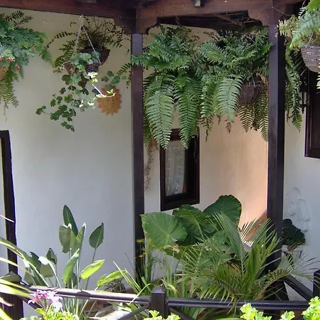 Aptos Monasterio De San Antonio 4 Apartment *