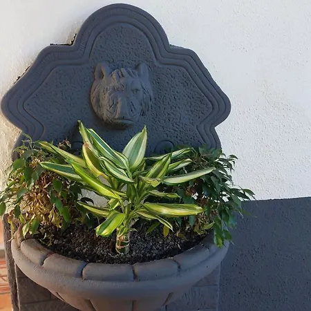 Aptos Monasterio De San Antonio 4 *