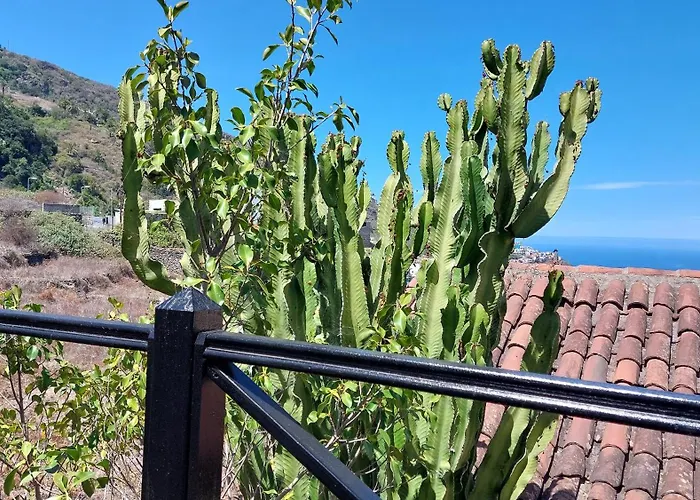 Aptos Monasterio De San Antonio 4 Apartment